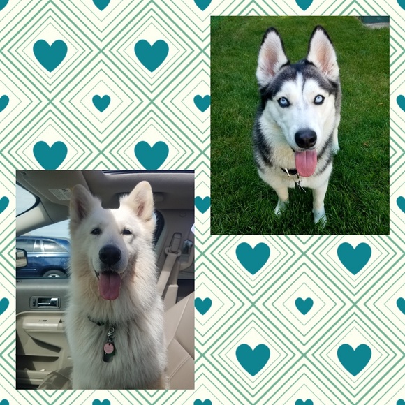 Meet your Posher, Angie - Picture 5 of 8